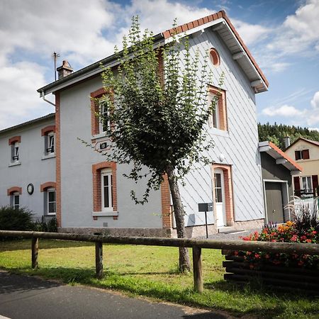 Villa La Halte 19 Ban-sur-Meurthe-Clefcy Exterior foto